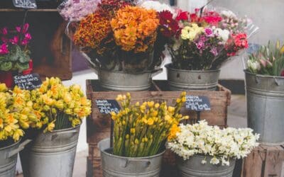 Expert Tips for Storing Wholesale Flowers